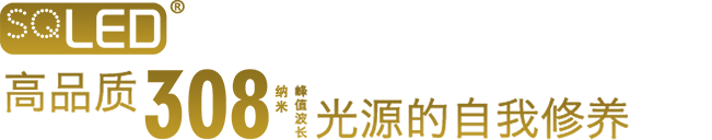 高品質308納米光源的自我修養